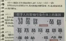 研究癌症获奖小学生实验记录曝光 获奖小学生为研究员之子