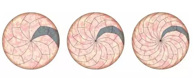 披萨到底怎么分？英国数学博士发明新方法。 