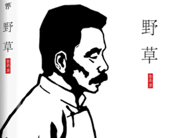 《野草》读后感【推荐】